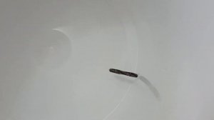 Бродильная ёмкость. Врезка крана. Установка гидрозатвора.