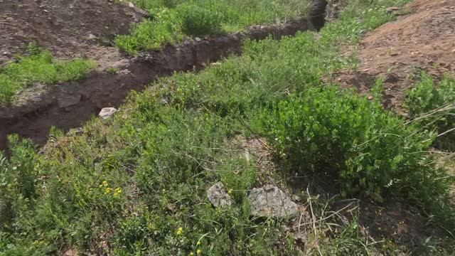 Все счастливы и солдаты и наша мотобанда Май 2025 смотреть онлайн