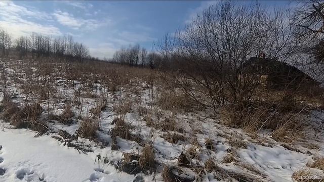 24.02.2020 Неожиданные встречи. смотреть онлайн