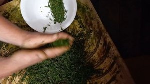 Скручивание Иван  чая на доске и подготовка к фермента