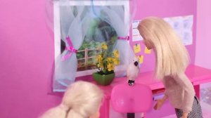 Мальчик или девочка -  Кого ждет Вонь?! Сериал Мама Барби