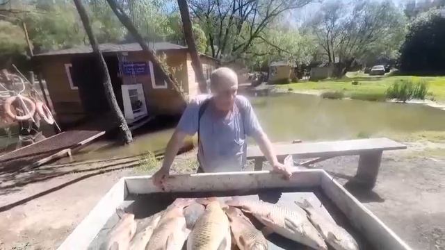 28.05.25 г. Парк отдыха водопад смотреть онлайн