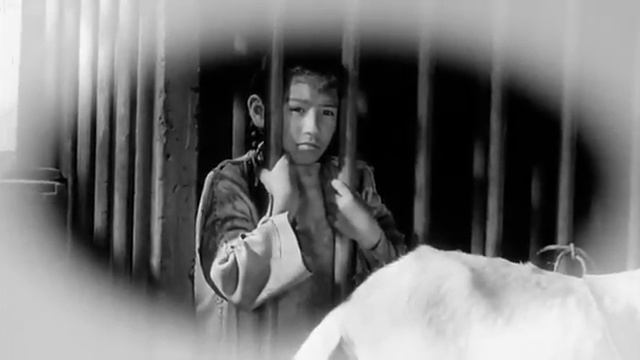 Мертвец. Джармуш. Никто. смотреть онлайн