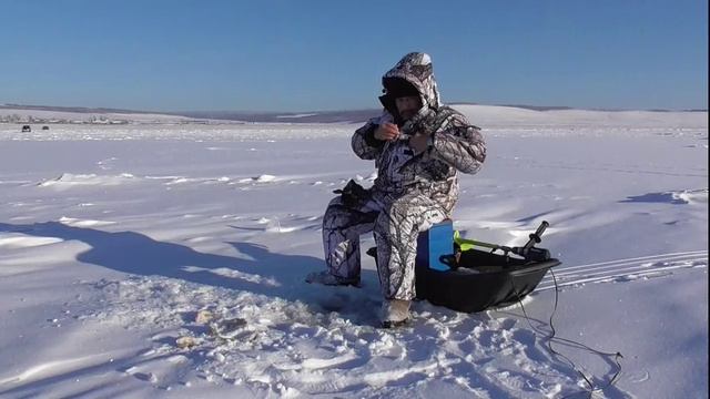 Ловля окуня 22.11.16 год. 4-5-я лунка. смотреть онлайн
