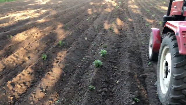 Дисковий окучник на мінітрактор. смотреть онлайн