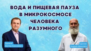 Вода и пищевая пауза в микрокосмосе Человека Разумного