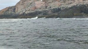 Катаемся на катере. Териберка#