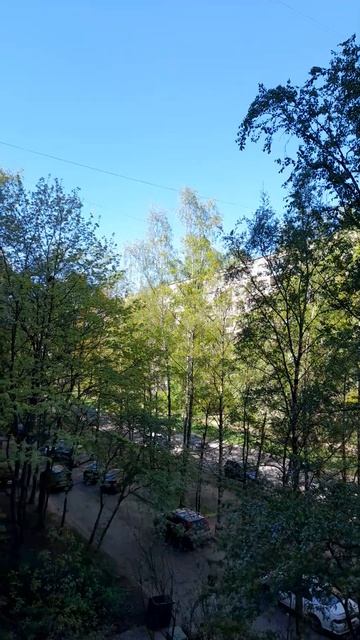 погода из Санкт-Петербурга #погода #санктпетербург смотреть онлайн