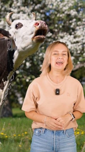 Проверяем понимание речи