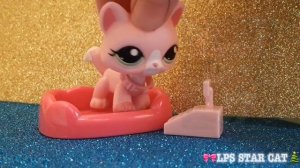 LPS: ОЦЕНИВАЮ ООАКИ LPS/🎀LPS STAR CAT🎄