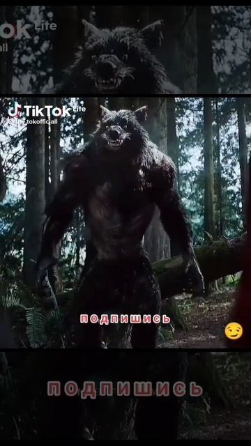 сериал###тайный орден смотреть онлайн