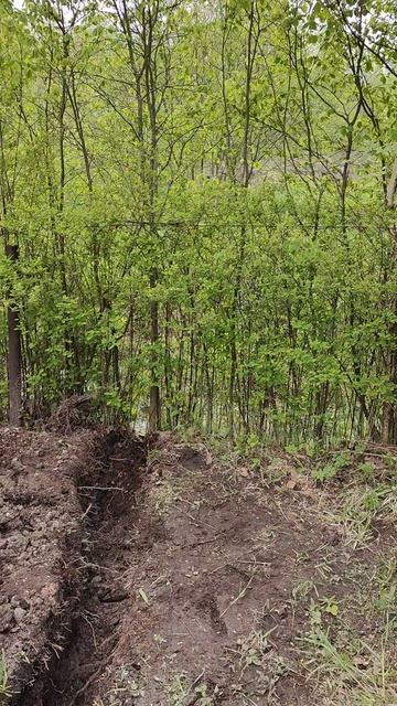 Формирование отводящей магистрали принудительного выброса Евролос Био