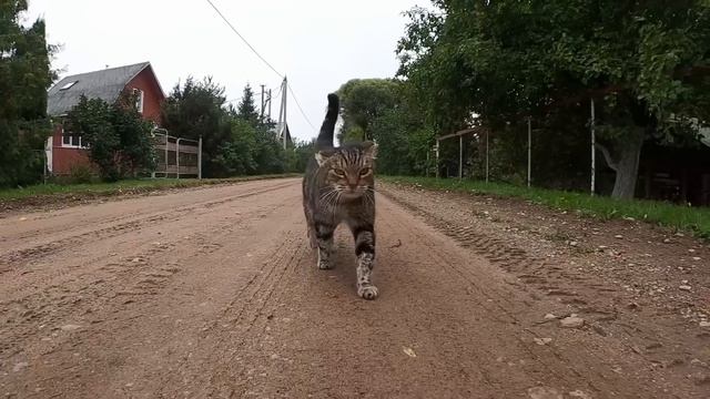 Едва положили мужа в землю, свекровь сменила замки. Но
