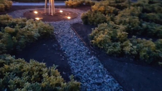 Вечерний парк и сад с молодильными яблочками или розами. смотреть онлайн