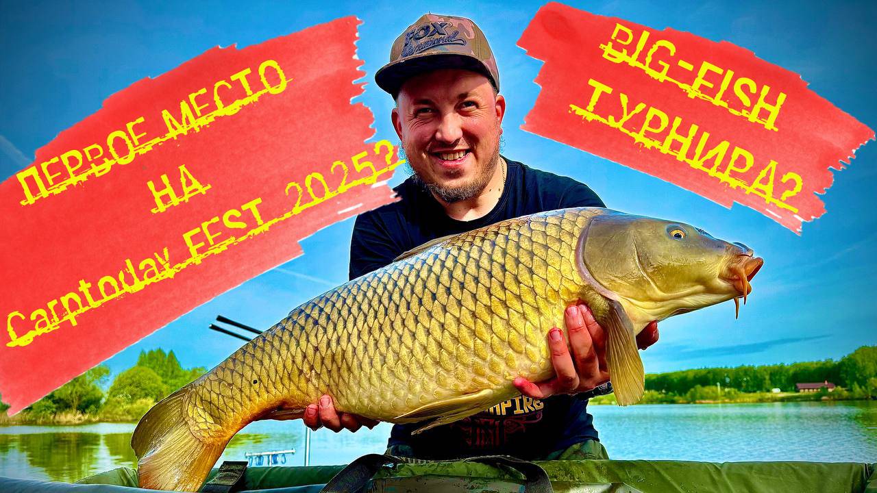 Carptoday FEST 2025