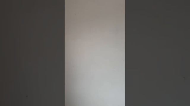 Маленький дом