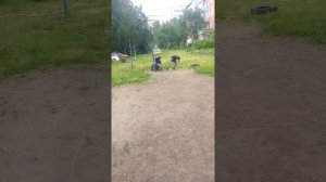 Бешеная бабка орет на детей