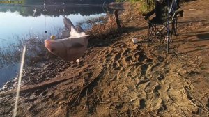 Ловля карася на бойлы-силиконовые приманки!Флэт корму