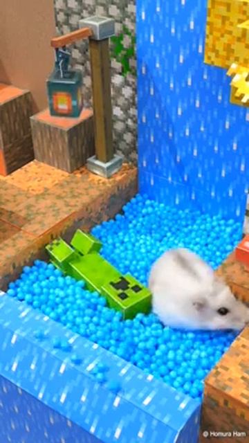 хомяк и майнкрафт смотреть онлайн