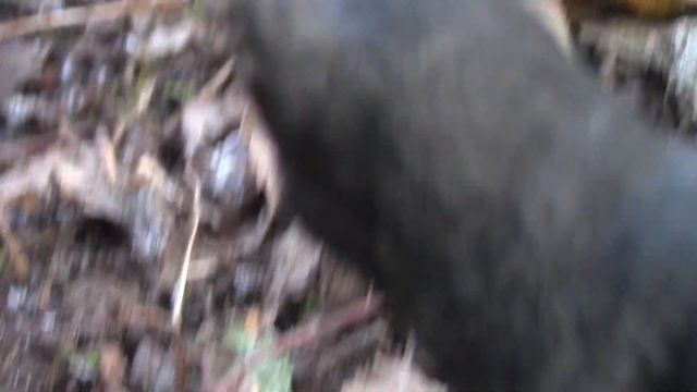 Истории стаи 2.0 12ep. "Союз" (шляйх сериал) смотреть онлайн