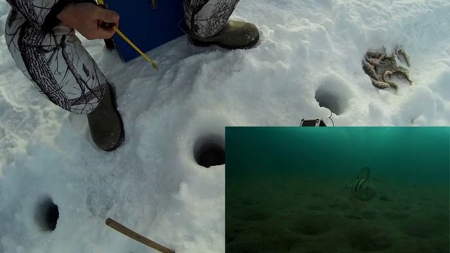 На балансир в 2018 году. Над водой и под водой. смотреть онлайн