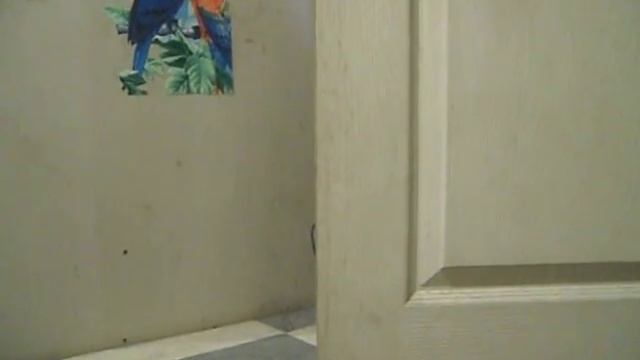 Бытовые ужасы смотреть онлайн