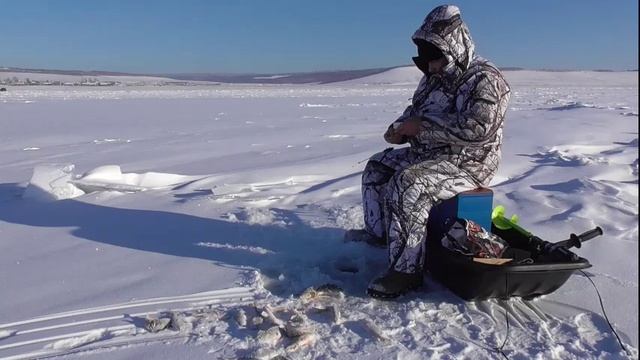 Ловля окуня 22.11.16 год. 4-я лунка. смотреть онлайн