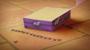 Букашки ТВ - Муравьи