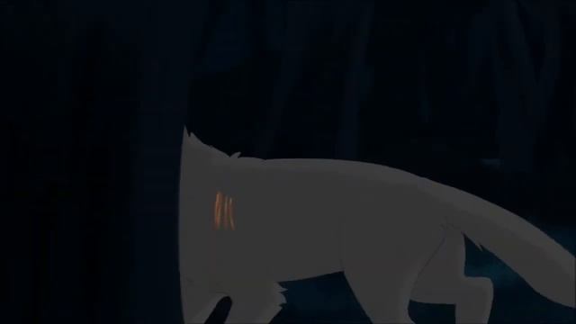 Коты воители клип. смотреть онлайн