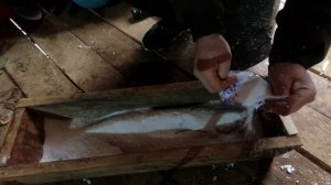 Сухой посол крупной рыбы. Теперь я рыбу солю только та?