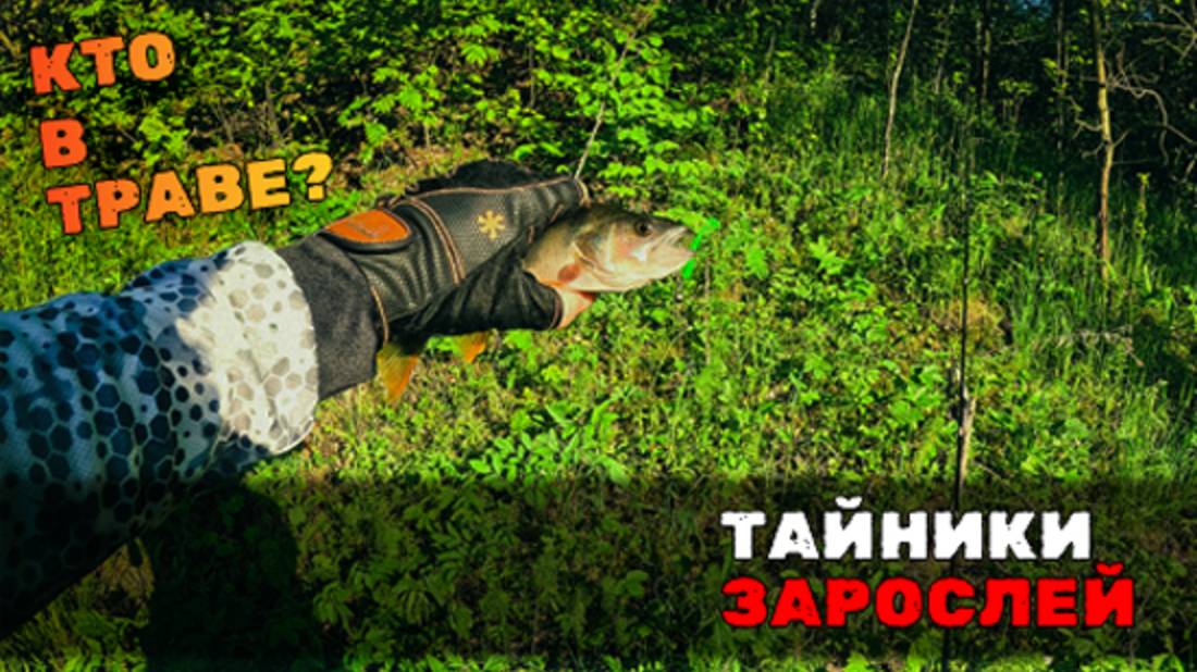 Новая встреча со старым прудом