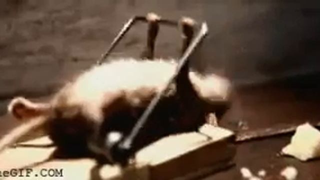 Сичкон качон бомокчи смотреть онлайн