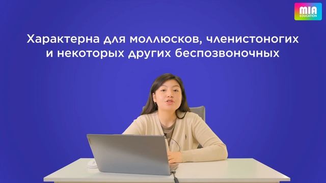 Подготовка к ЕНТ по Биологии. Тема: "Типы и строение не? смотреть онлайн