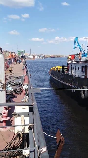 вывод с дока. смотреть онлайн