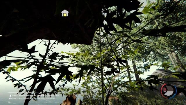 The Forest: РЕЛИЗ | WISE GAME