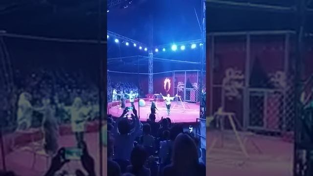 Цирк в городе Жезказгане смотреть онлайн