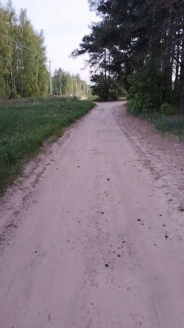 Вечер смотреть онлайн