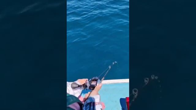 Это- Владивосток.. рыбалка на море.