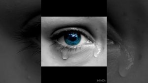 исполняет кирсан мурла Судьба человека 27 сентября 2024 ?