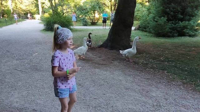 ВИДЕО-ДНЕВНИК с отпуска☀СОЧИ🌊#малословмногокрасок?