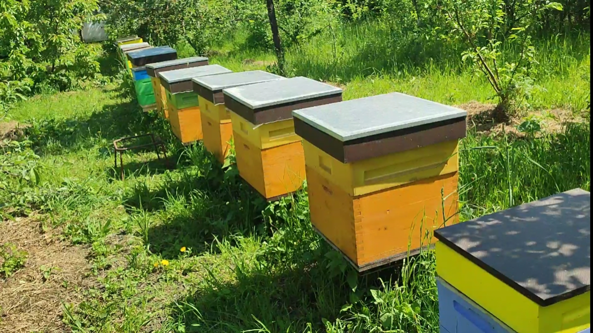 Однорамочные отводки год (11 месяцев) спустя смотреть онлайн