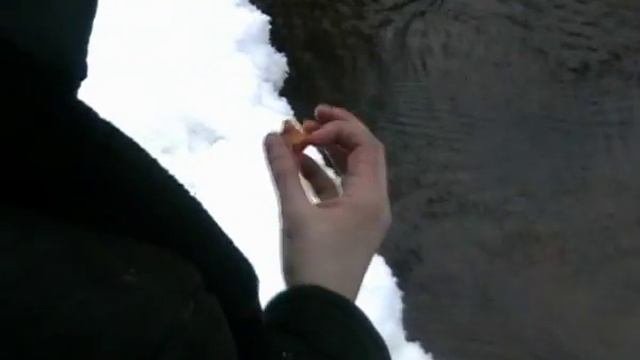 Клондайк: Золотая лихорадка смотреть онлайн