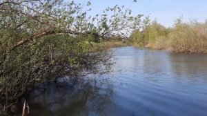 Испытание лодки с новым мотором.