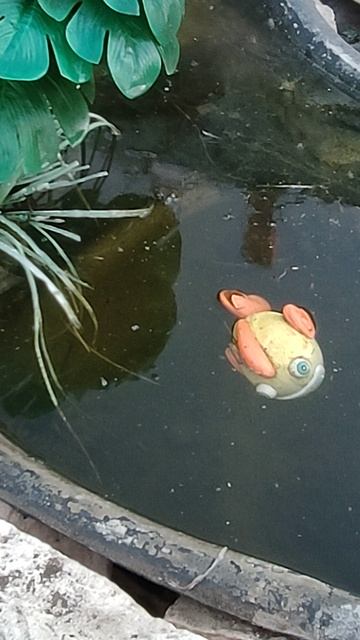 Дачный сезон 2025 смотреть онлайн