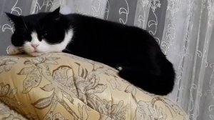 МНЕ УЖЕ ЭТОТ МИР АБСОЛЮТНО ПОНЯТЕН