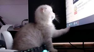 СМН- люби меня БЕЗ МАТА