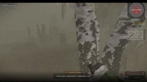 STALCRAFT квест "Месть Близнецов" Как выбраться из аномалии.