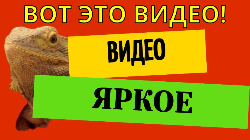 Яркое видео