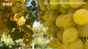 Город Турсунзаде (Регар)