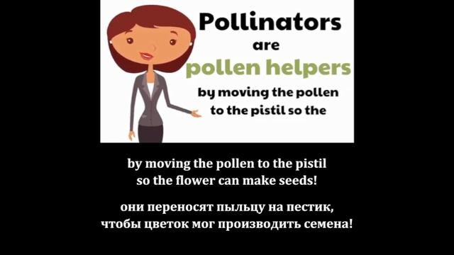 Repeat after the speaker_Pollination_for Kids смотреть онлайн